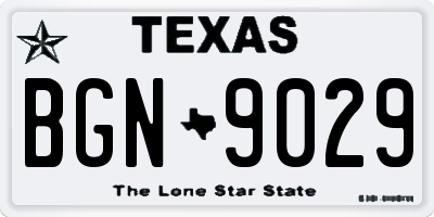 TX license plate BGN9029