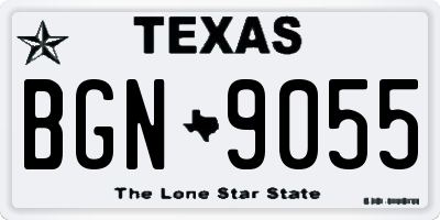 TX license plate BGN9055