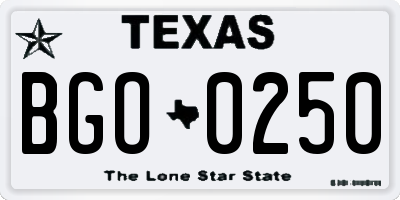 TX license plate BGO0250