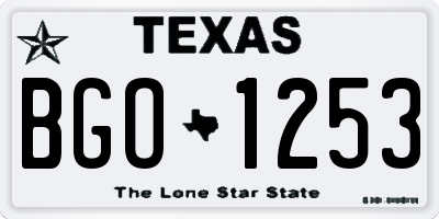 TX license plate BGO1253
