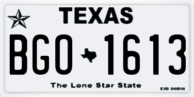 TX license plate BGO1613
