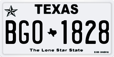TX license plate BGO1828