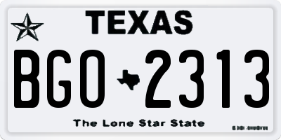 TX license plate BGO2313
