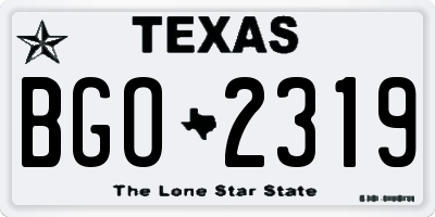 TX license plate BGO2319