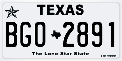 TX license plate BGO2891
