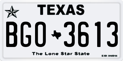 TX license plate BGO3613