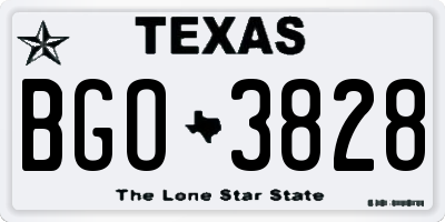 TX license plate BGO3828