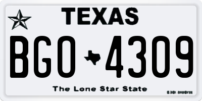 TX license plate BGO4309