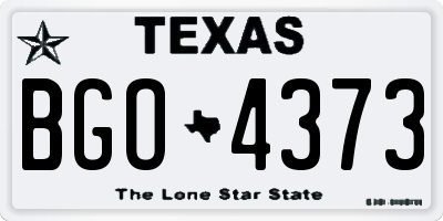 TX license plate BGO4373