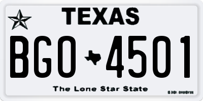 TX license plate BGO4501