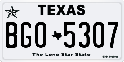 TX license plate BGO5307
