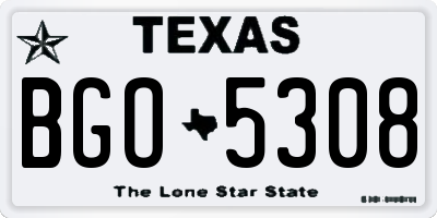 TX license plate BGO5308