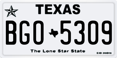 TX license plate BGO5309