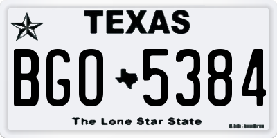 TX license plate BGO5384