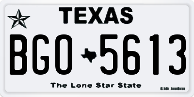 TX license plate BGO5613