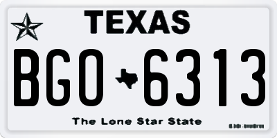 TX license plate BGO6313