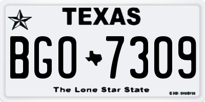 TX license plate BGO7309