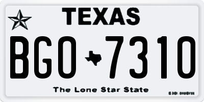 TX license plate BGO7310