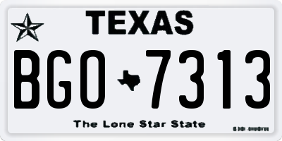 TX license plate BGO7313