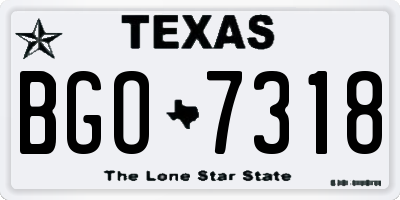 TX license plate BGO7318