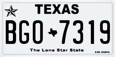 TX license plate BGO7319