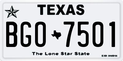 TX license plate BGO7501