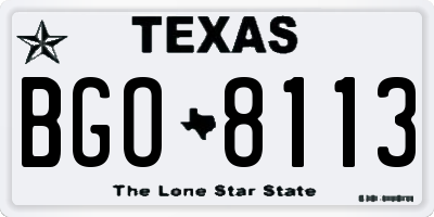 TX license plate BGO8113