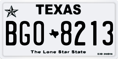 TX license plate BGO8213