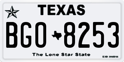 TX license plate BGO8253