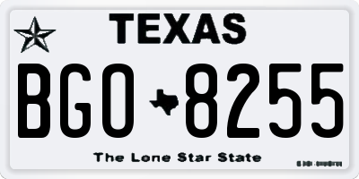TX license plate BGO8255