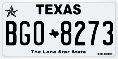 TX license plate BGO8273