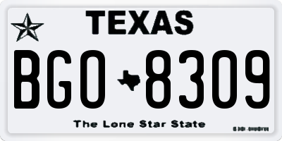 TX license plate BGO8309