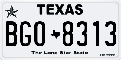 TX license plate BGO8313