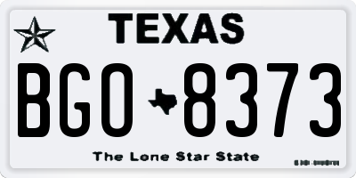 TX license plate BGO8373