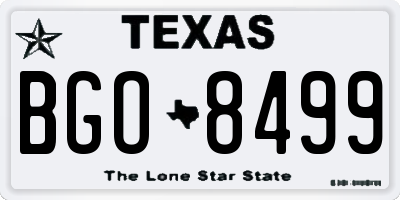 TX license plate BGO8499