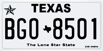 TX license plate BGO8501