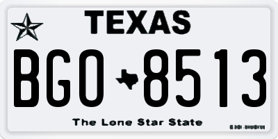 TX license plate BGO8513