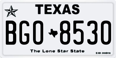 TX license plate BGO8530