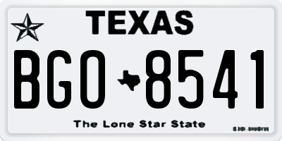 TX license plate BGO8541