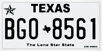 TX license plate BGO8561