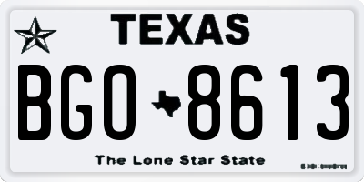TX license plate BGO8613