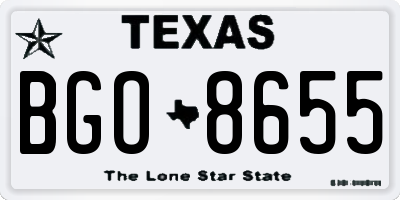 TX license plate BGO8655