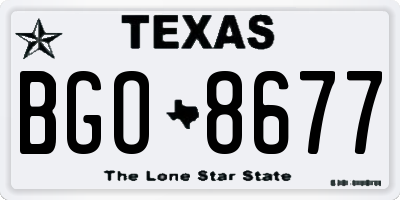 TX license plate BGO8677