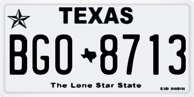 TX license plate BGO8713