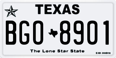 TX license plate BGO8901