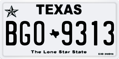 TX license plate BGO9313