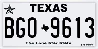 TX license plate BGO9613