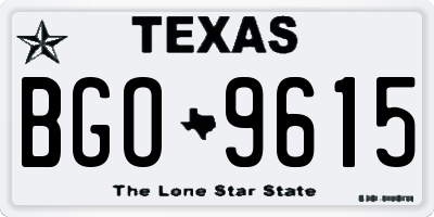 TX license plate BGO9615