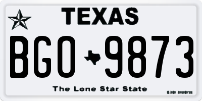 TX license plate BGO9873