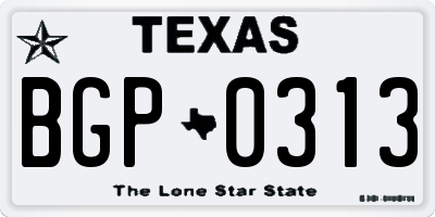 TX license plate BGP0313